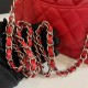 CHANEL MINI FLAP BAG