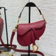 DIOR Mini Saddle Bag With Strap