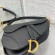 DIOR SADDLE BAG WITH STRAP