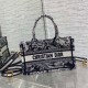 DIOR Mini Dior Book Tote