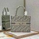 Dior Small Book Tote