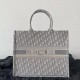 DIOR LARGE BOOK TOTE