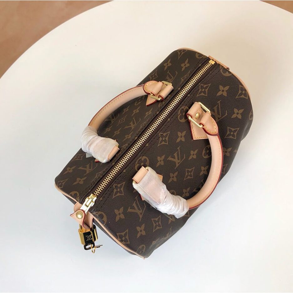 LOUIS VUITTON SPEEDY 25