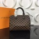 LOUIS VUITTON SPEEDY 25