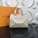 LOUIS VUITTON SPEEDY 25